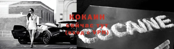 Альфа ПВП Богородицк